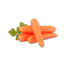 Vegetables Cabbage